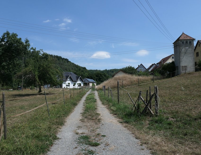 Feldweg in der Gewann Tuchbleiche